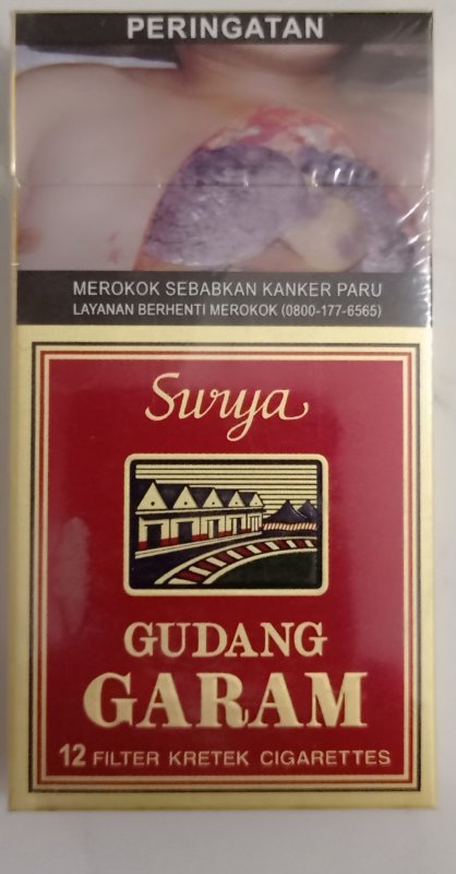 Rokok Surya 12