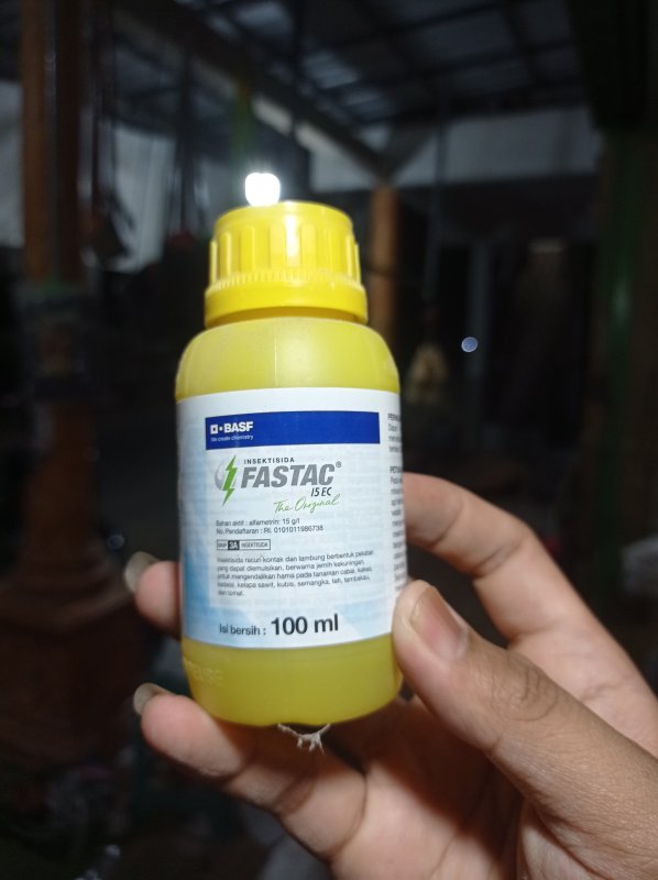 Fastag isec 100 ml