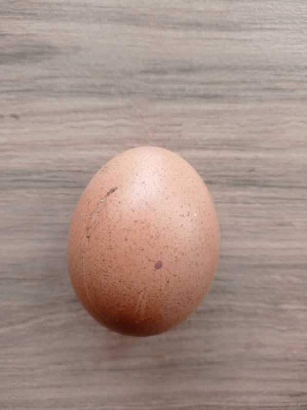 Telor /kg