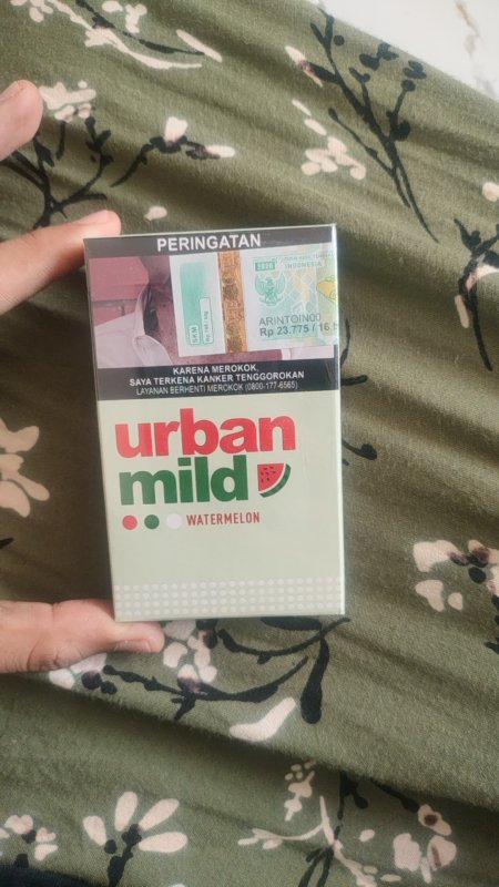Rokok Urban Mild