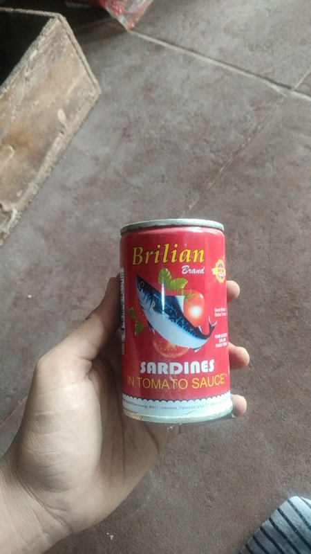 Sarden
