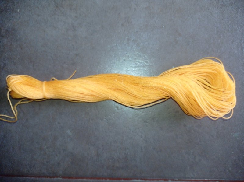 Tampar / senar peles orange